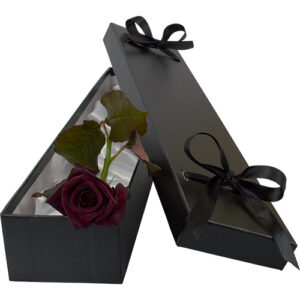 Single Luxury Black Baccara Rose