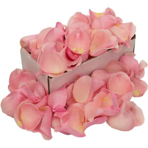 Box of Fresh Pink Rose Petals