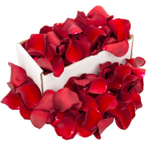 Box of Fresh Red Rose Petals