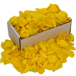 Box of Fresh Yellow Rose Petals
